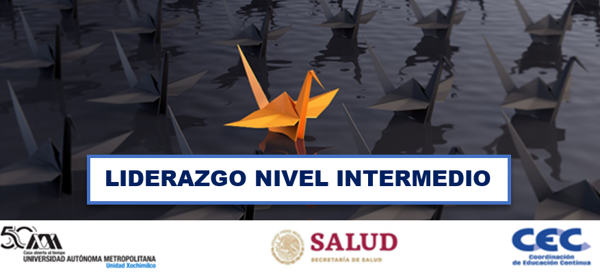 Liderazgo Intermedio