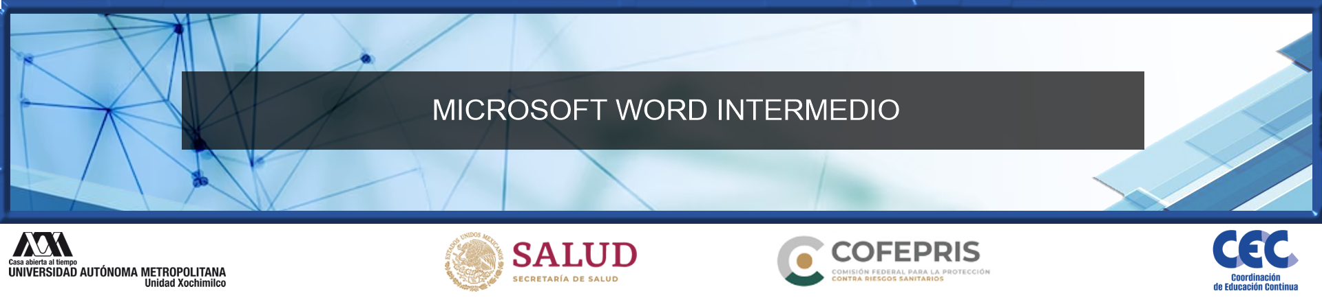 MICROSOFT WORD INTERMEDIO